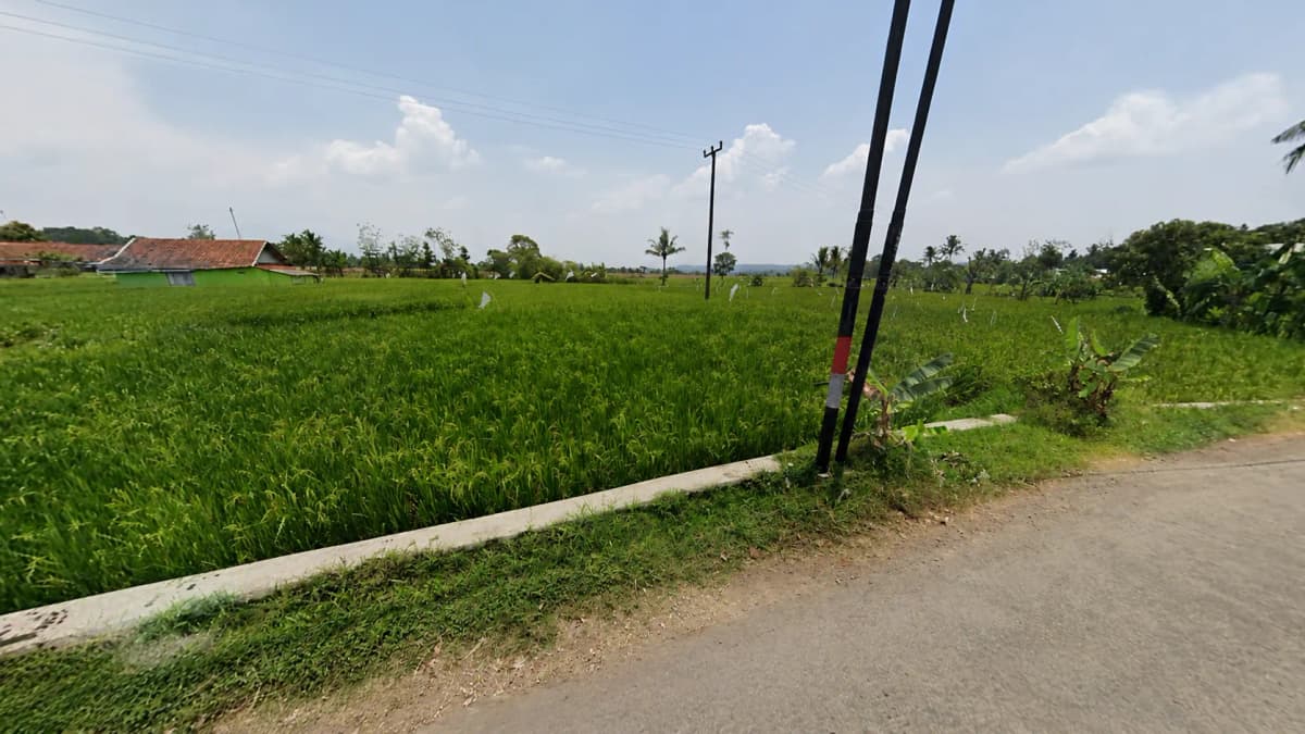 Tanah Sawah 2.100 m² Pinggir Jalan di Cisitu Sumedang - Gambar 2