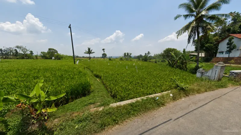 Tanah Sawah 2.100 m² Pinggir Jalan di Cisitu Sumedang