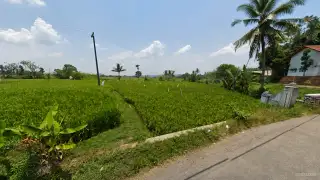 Tanah Sawah 2.100 m² Pinggir Jalan di Cisitu Sumedang - Thumbnail 1